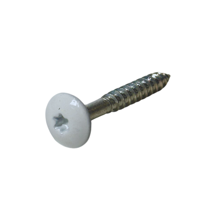 Torxschroeven 100st. - wit
