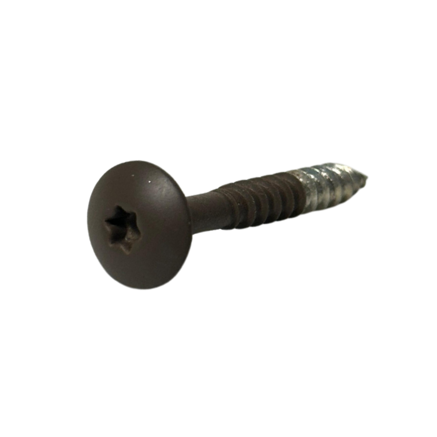 Torxschroeven 100st. - corten 4020