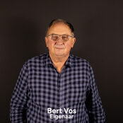 bert vos
