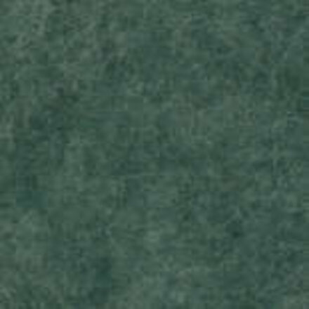 tacktile basilico