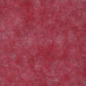 tacktile gerbera