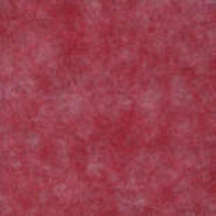 tacktile gerbera