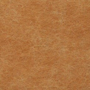 Sample - TT CARAMEL 2