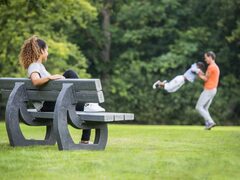 bankje in de natuur
